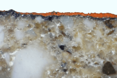 Sezione-lucida-stratigrafica-ingrandimento-30x