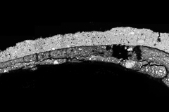 microscopio-ellettronico-SEm-immagine-sezione-lucida-stratigrafica